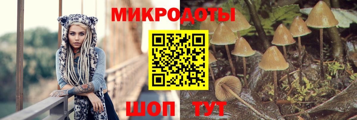 Галлюциногенные грибы Cubensis Южноуральск